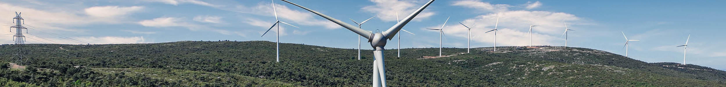 green site header2